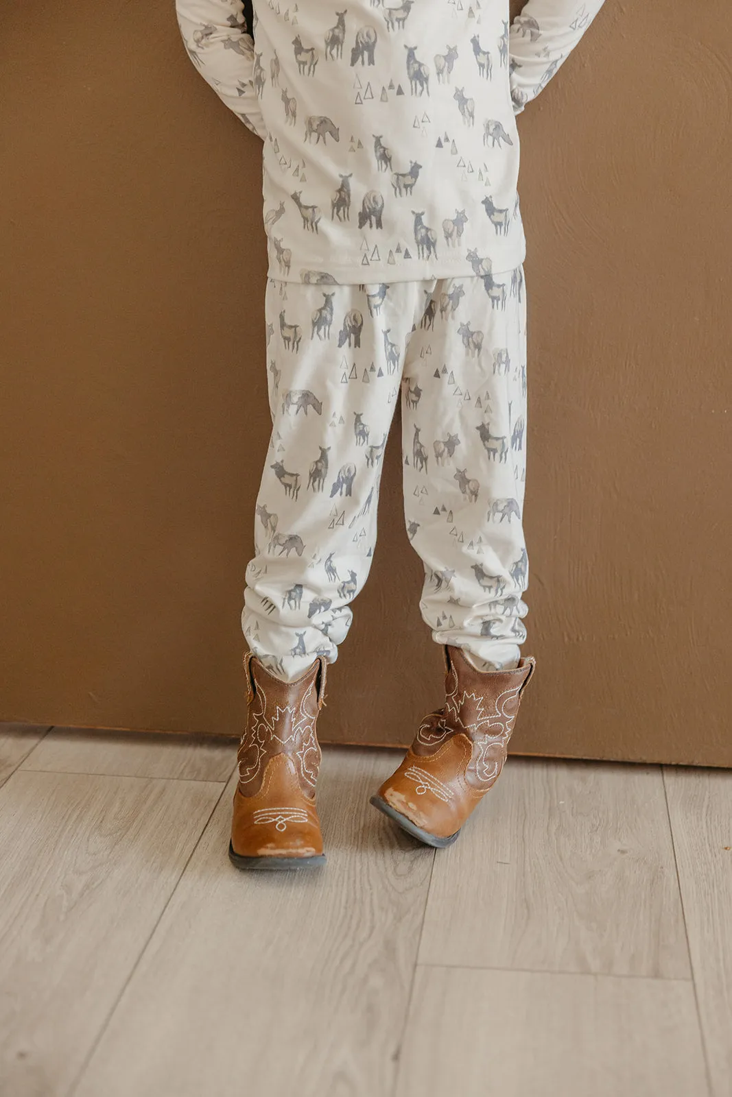 2pc Long Sleeve Pajama Set - Cody