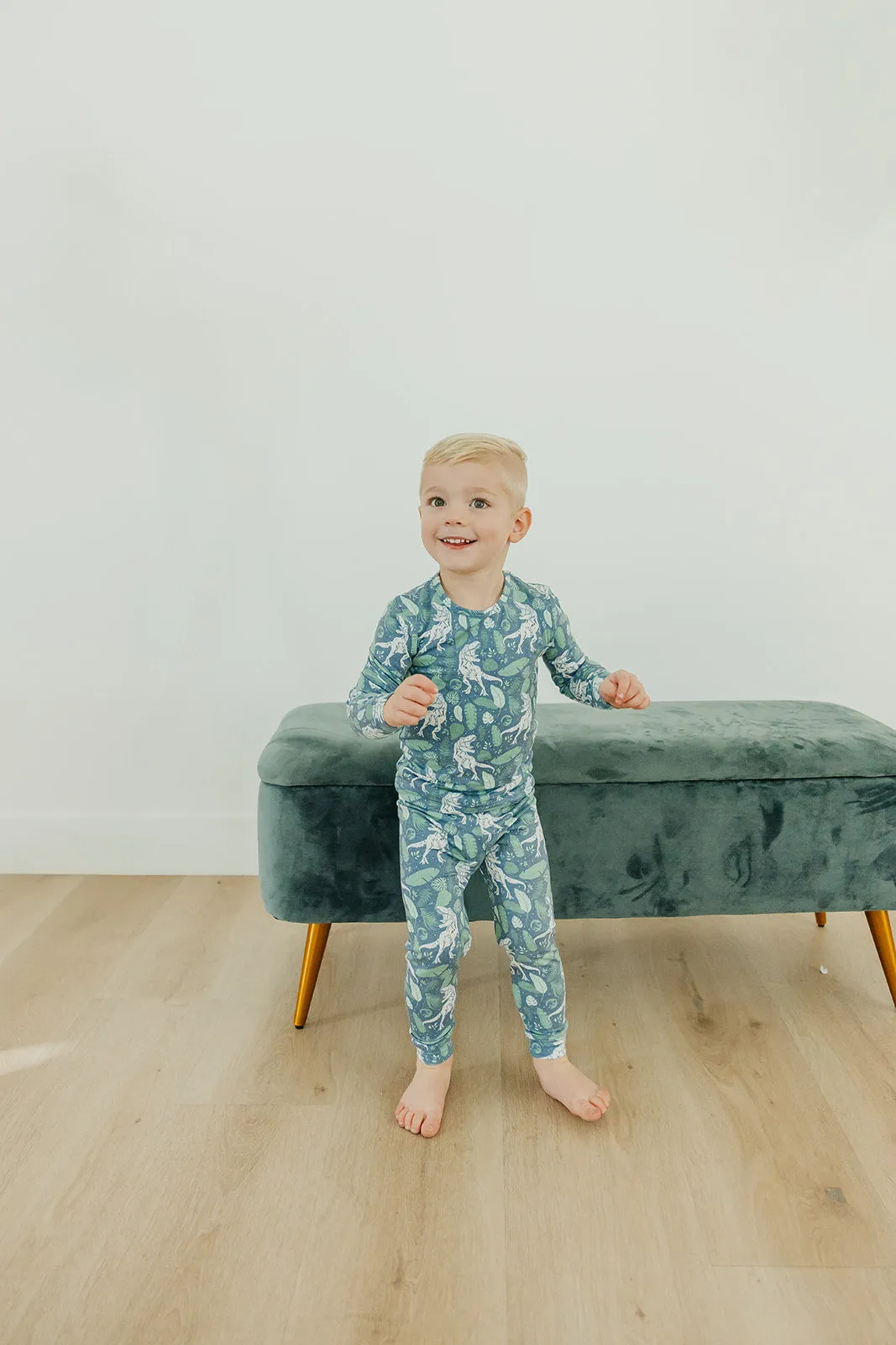 2pc Long Sleeve Pajama Set - Jurassic Park