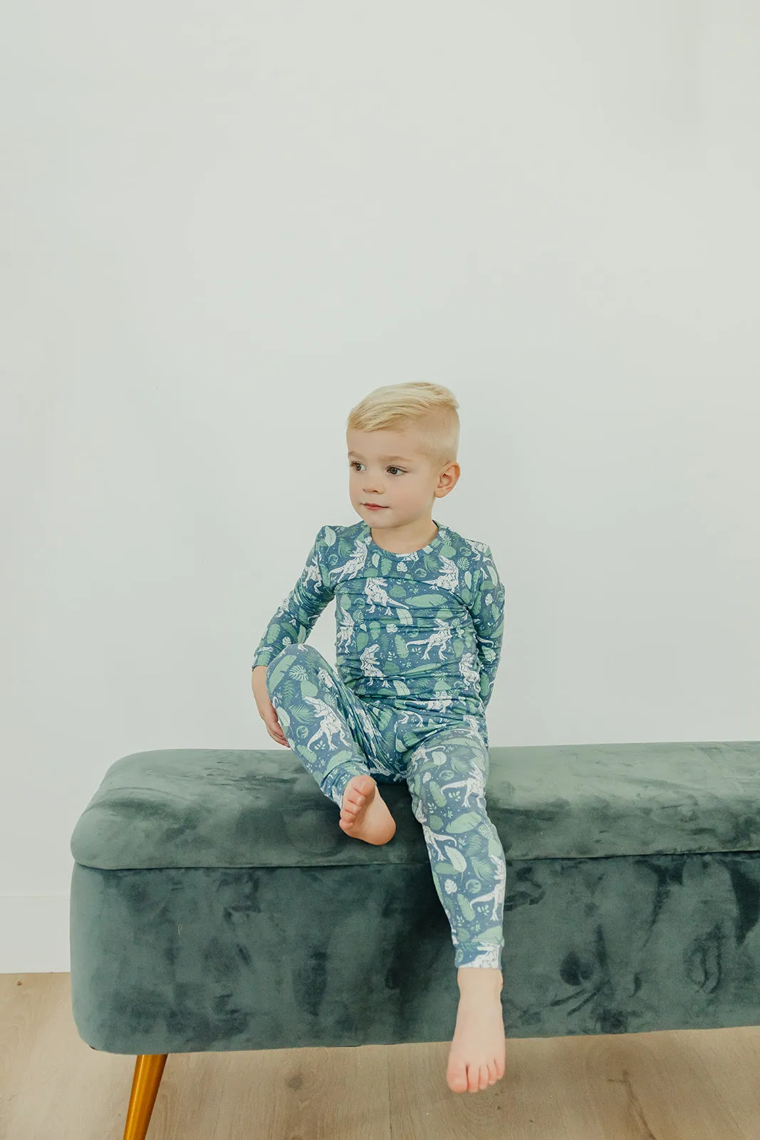 2pc Long Sleeve Pajama Set - Jurassic Park