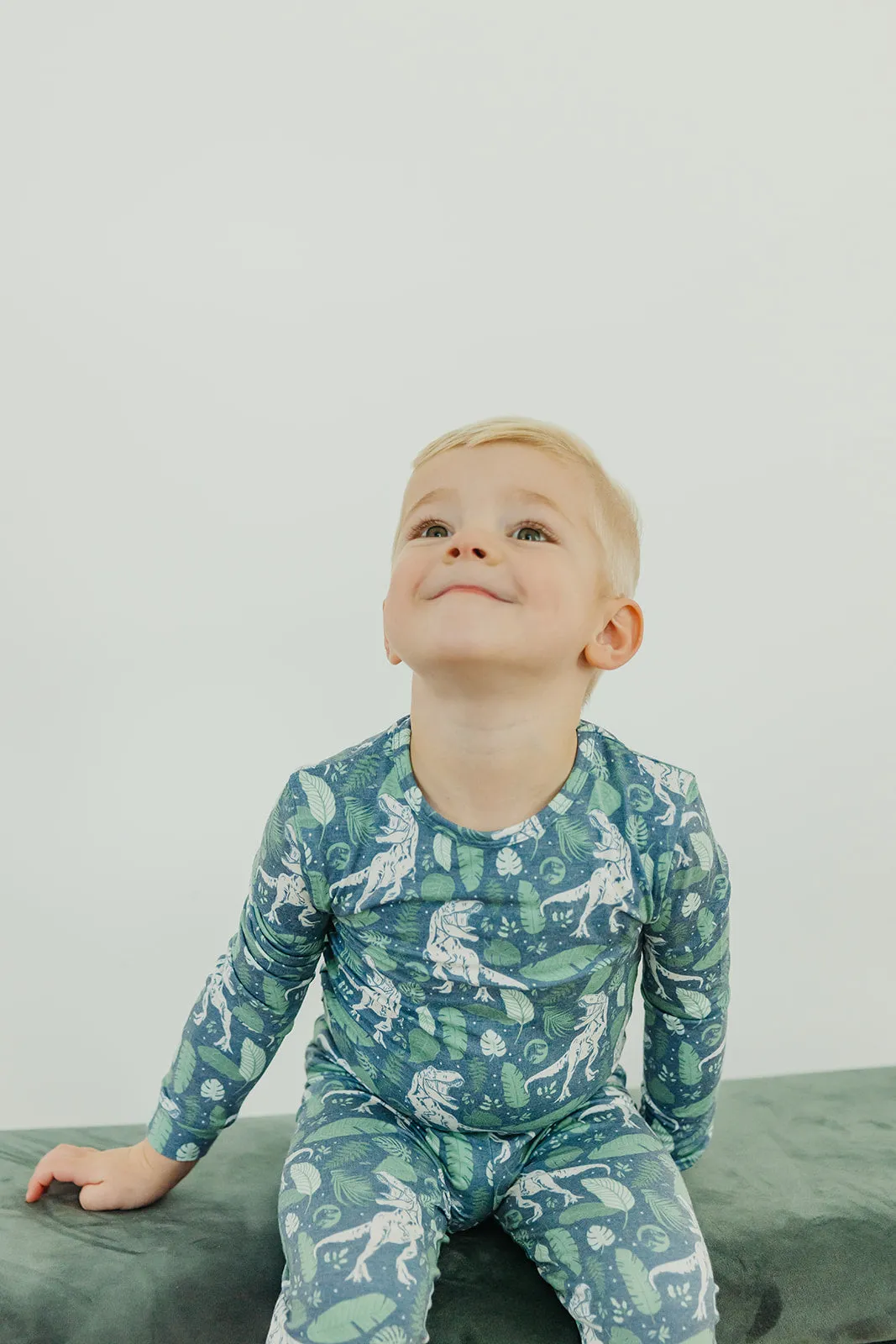 2pc Long Sleeve Pajama Set - Jurassic Park