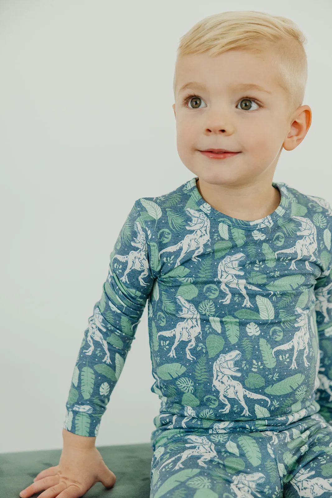 2pc Long Sleeve Pajama Set - Jurassic Park