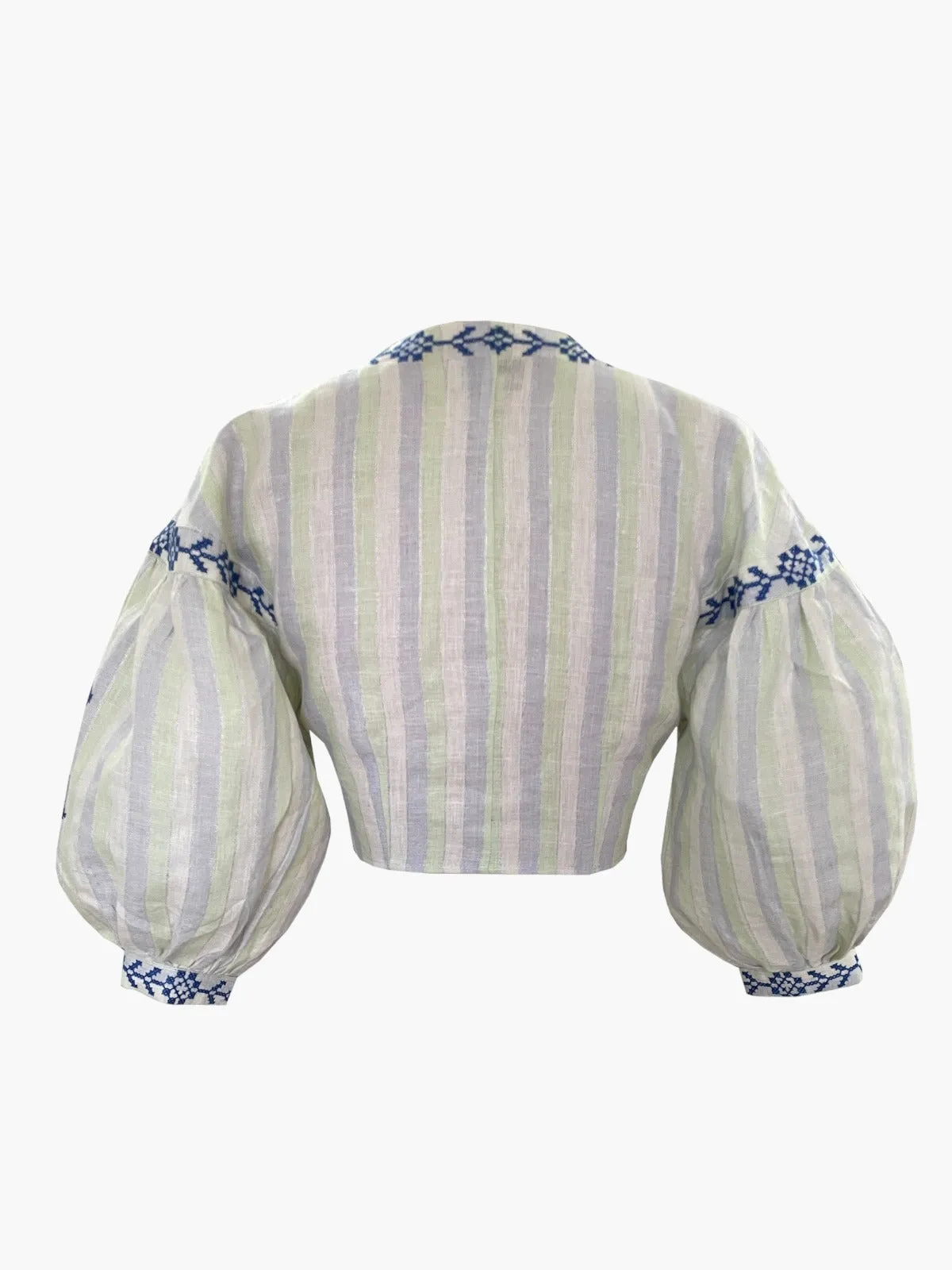 Chicory Top